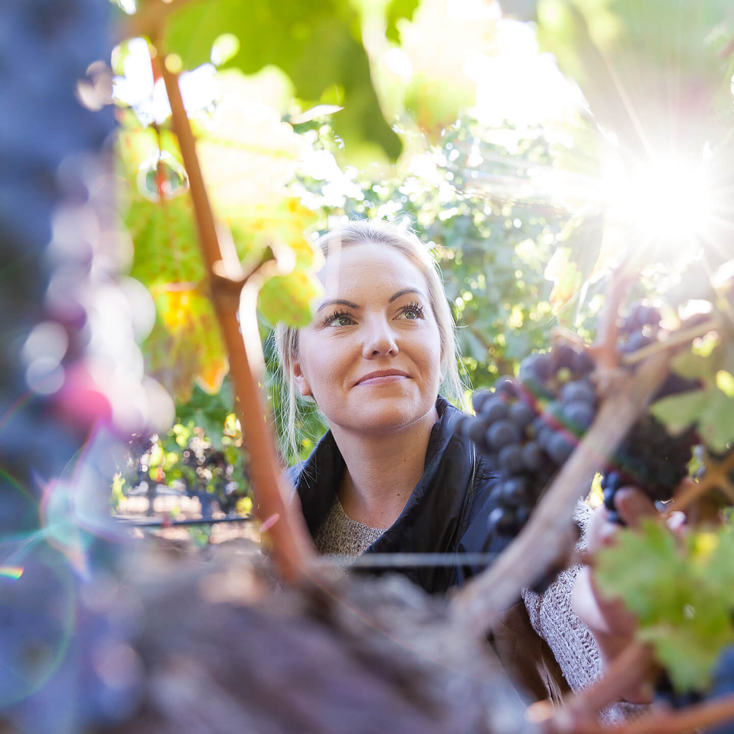 Best Woman Winemaker Image